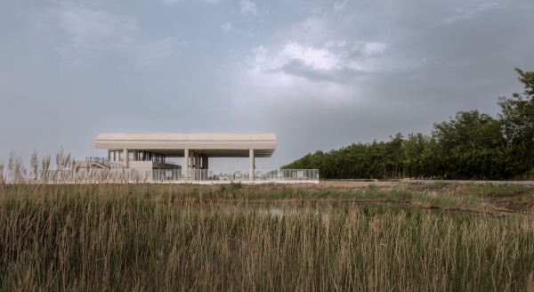 Situate Architecture in Dongying