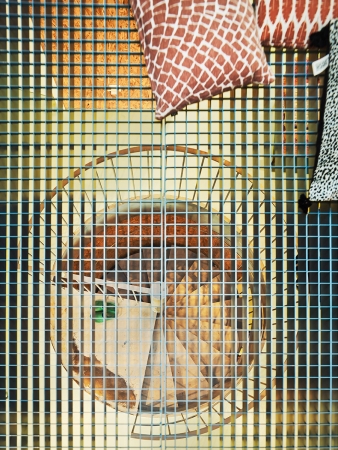 Einfamilienhaus von Wirth Architekten in Rotenburg (Wmme)