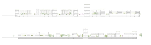 1. Preis: ASTOC Architects and Planners (Kln) mit bauchplan ).( (Mnchen). Lngsschnitte