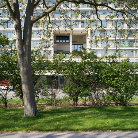 Wohnungsbau in Wien von Gerner Gerner Plus