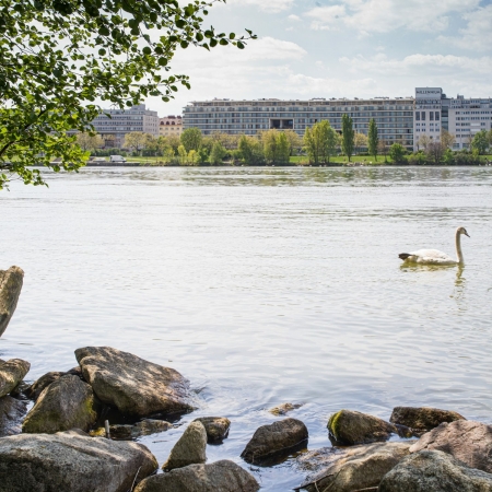 Wohnungsbau in Wien von Gerner Gerner Plus