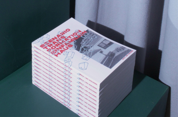 Transformationsszenario Einfamilienhaus von Max Leo Maurer