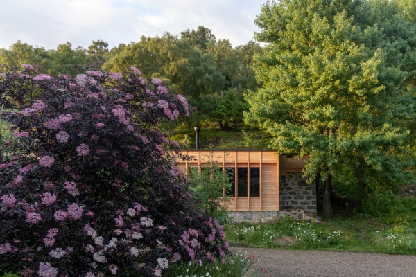 Transformation eines Bauernhofs von Moxon Architects