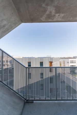 Blick zum benachbarten Gartenhaus, das ber einen Steg mit dem Wabenhaus verbunden ist.