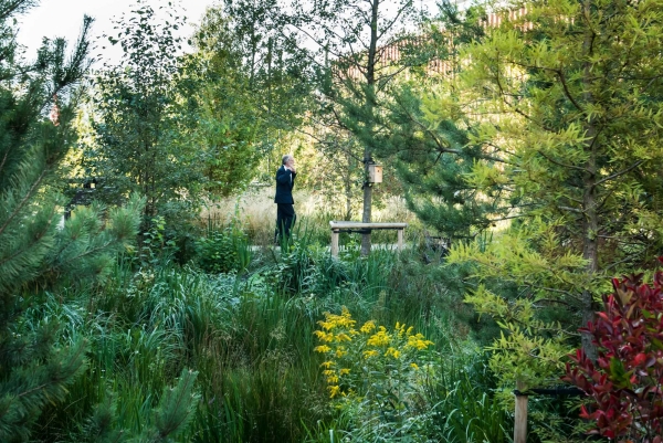 Klimastrae in Kopenhagen von SLA Landscape Architects, Hansen & Henneberg, 2015
