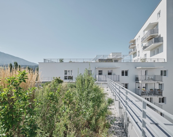 Wohnbauten von Bogenfeld Architektur