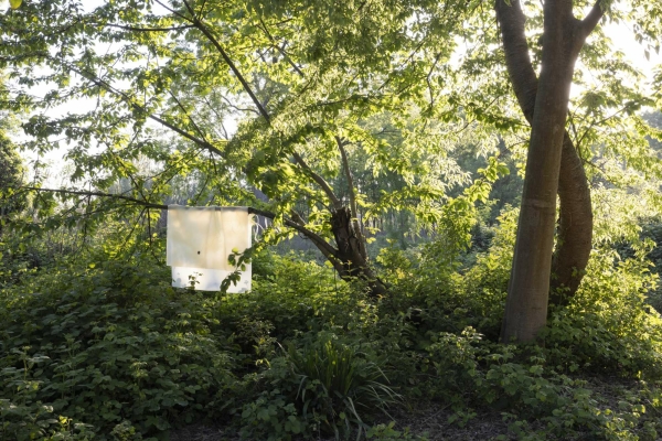 Aus dem Offenen fhrt der Weg tiefer hinein in die dichte Vegetation der verwucherten Insel. Dort hat Nicole LHuillier Menbranen in die Bume gehngt, die die Gerusche der Umgebung empfangen und zugleich verarbeiten.