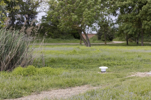 Mit in den Boden eingelassenen Lautsprechern lsst Robert Lippok ein paar Meter weiter ein akustisches Feld entstehen, das die Erdschichten unter dem Gras hrbar macht.