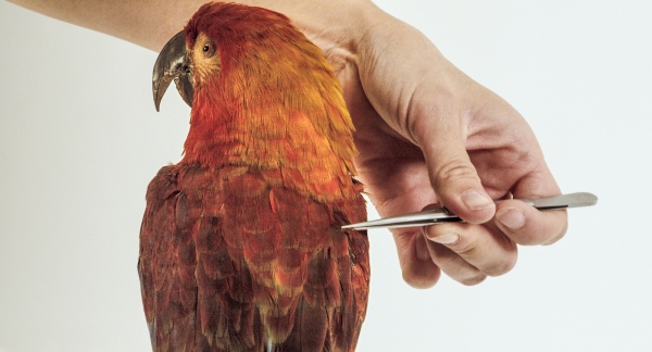 Filmstill aus Archiv der Zukunft von Joerg Burger