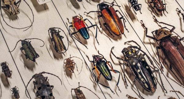 Filmstill aus �Archiv der Zukunft� von Joerg Burger