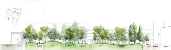 1. Preis: Atelier Loidl Landschaftsarchitekten (Berlin), Schnitt