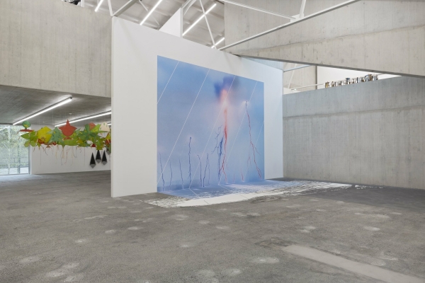 Blick in die Erffnungsausstellung Rewilding mit Werken von Joan Jonas Draw on the Wind und Daniela Keiser ADER