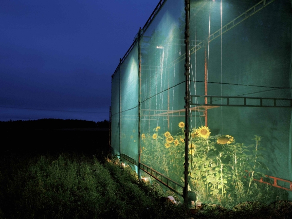 Untitled 3 aus der Serie Restoration des finnischen Fotoknstlers Ilkka Halso, 2000