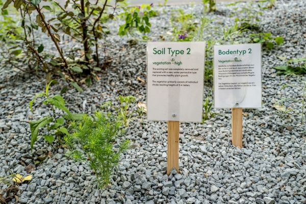 Bepflanzung auf dem Testfeld mit Grauwacke als Austrocknungsschutz