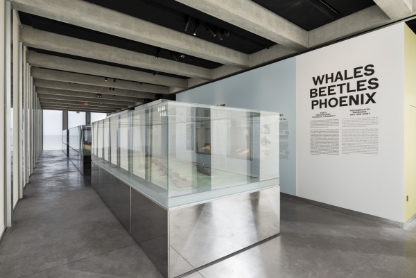 Museum von Projectiles in Arromanches-les-Bains