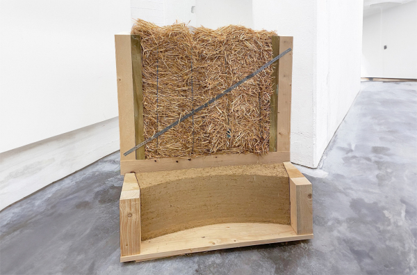 Jurypreis: Housing Now! von Franziska Mller und Britta Schebesta (RWTH Aachen)