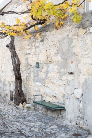 Monte, Castel San Pietro in der Schweiz von studioser
