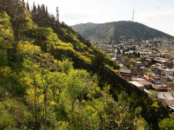 Stadtwald in Tiflis, Georgien von Ruderal