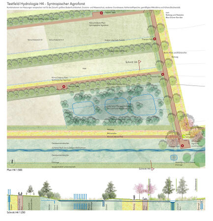 Testfeld - Syntropischer Agroforst