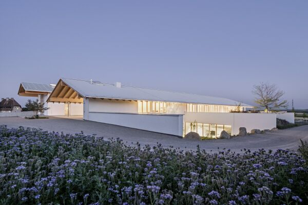 Weingut von Architects Collective