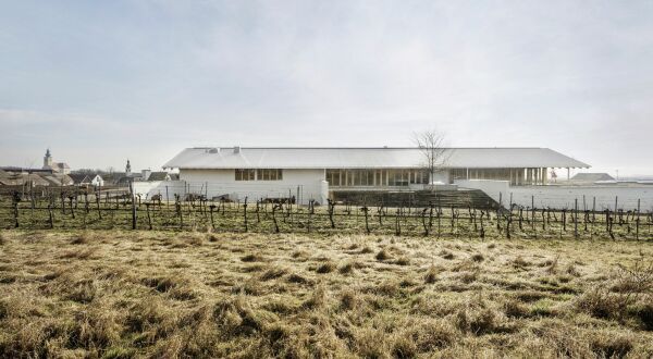 Weingut von Architects Collective