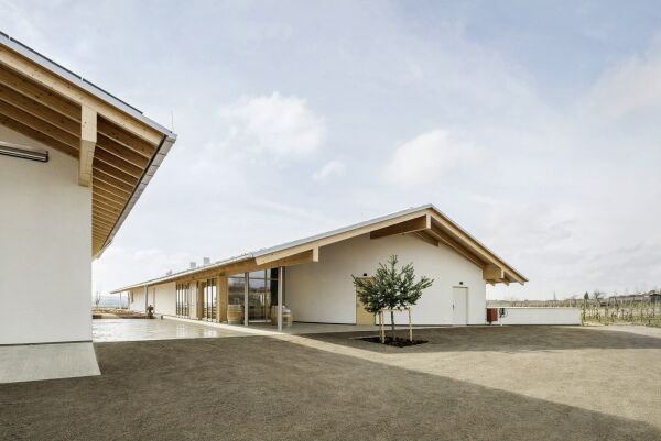 Weingut von Architects Collective