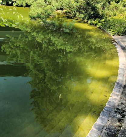 Im kreisfrmigen Wasserbecken von Willi Neukom im UBS Center for Education and Dialogue, Wolfsberg in Ermatingen spiegeln sich die umgebenden, in ihrer Knorrigkeit japanisch anmutenden Gehlze.
