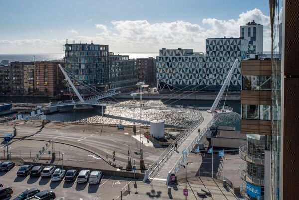 Fu- und Radwegbrcke von Ramboll und Stephen James