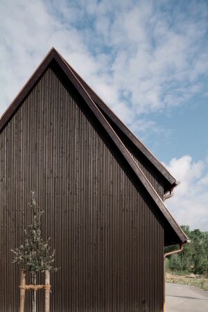 Sigurd Larsen im Spreewald