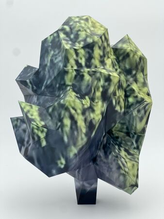 Clement Valla x Certain Measures: A Google Tree (Weinbergspark Chestnut Bonsai), 2023