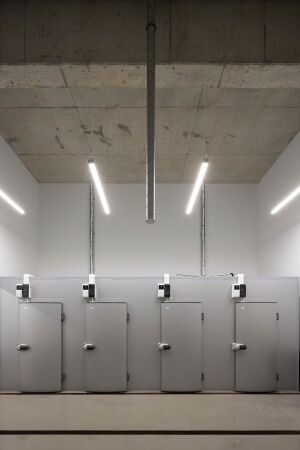 Markthalle von Loftspace und Tiago Sousa