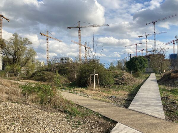 School of Walking: Freie Mitte, wilder Lebensraum