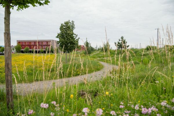 Gewinner Kategorie Pflanzenverwendung und Biodiversitt: Nordpark III Plattling - Landschaftspark mit Campusareal, BEM Burkhardt | Engelmayer | Mendel Landschaftsarchitekten Stadtplaner (Mnchen)