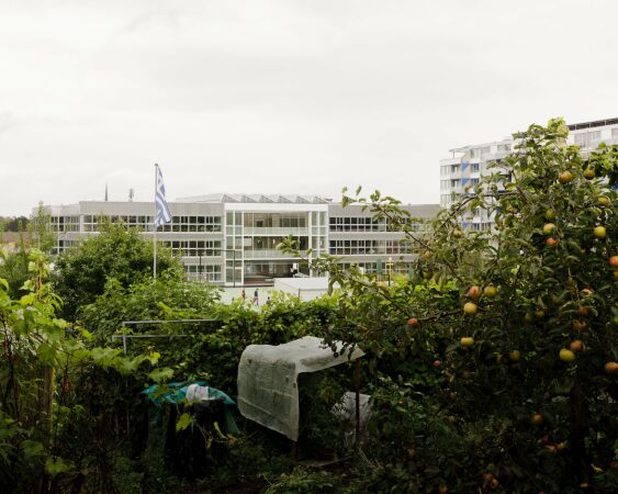 Primarschule von Weyell Zipse Architekten in Zürich