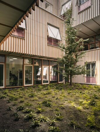 Kinderkrankenhaus von Herzog & de Meuron in Zrich