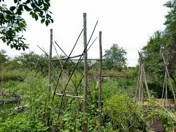Frderstipendium: Natur : Raum : Schaffen von zgl Coban-Nagels (Salzburg)