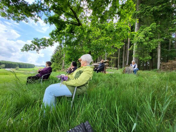 Alpakahof Pointner bei Freistadt in Obersterreich: Mobilitt als zentraler Bestandteil des Angebots eines Tageszentrums fr Senior*innen