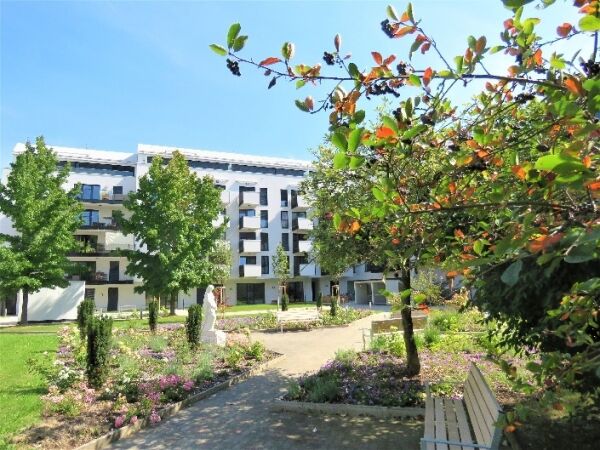 Gemeinschaftsgarten des Generationenwohnen Elisabethinenin Linz