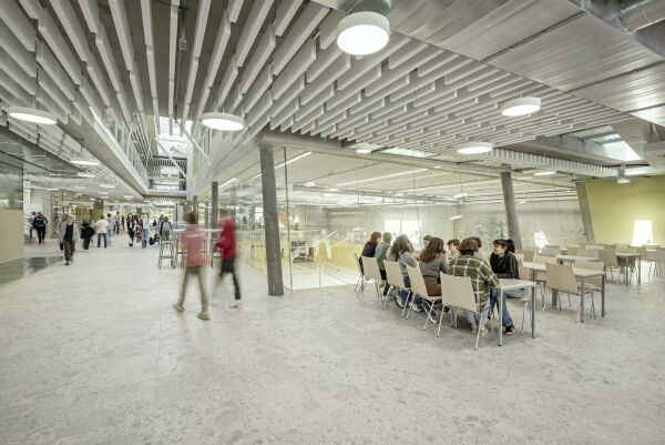 Clusterschule von fasch&fuchs.architekten