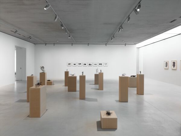 Anbau in Brssel von Robbrecht en Daem