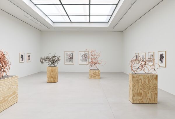 Anbau in Brssel von Robbrecht en Daem