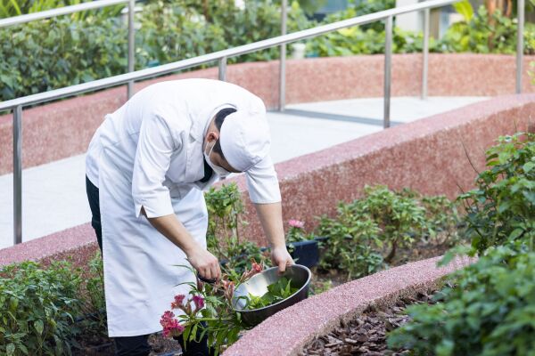 CapitaSpring in Singapur von BIG und CRA