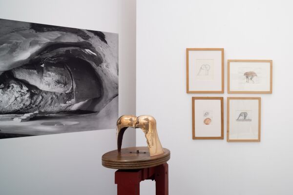 Ausstellungsansicht im Kaiser Wilhelm Museum Krefeld, 2024