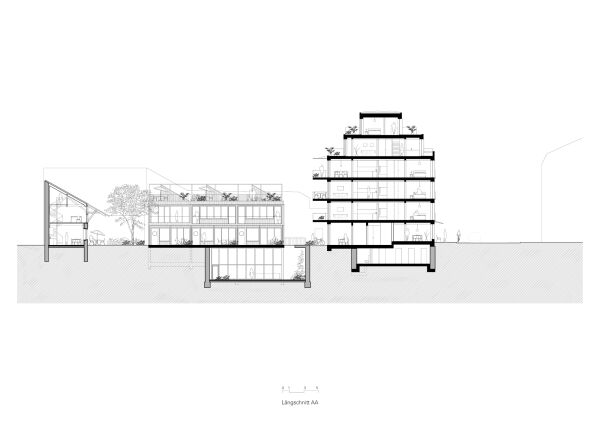 Lngsschnitt