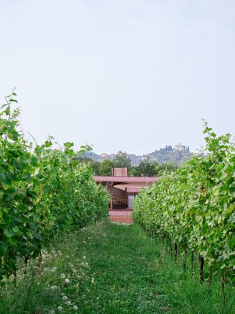 Weingut in der Lombardei von Studio Pizzi