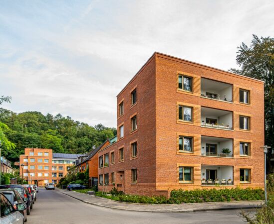 Wohnbauten von Stefan Forster