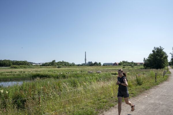 Naturpark und Hochwasserschutz in Randers von C.F. Mller