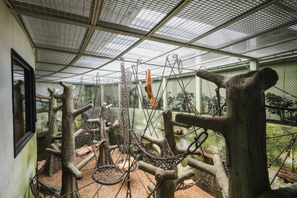 Zoogebude in Dresden von heinlewischer