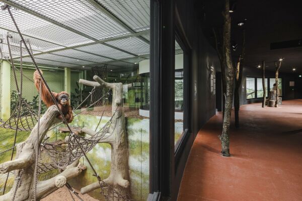 Zoogebude in Dresden von heinlewischer