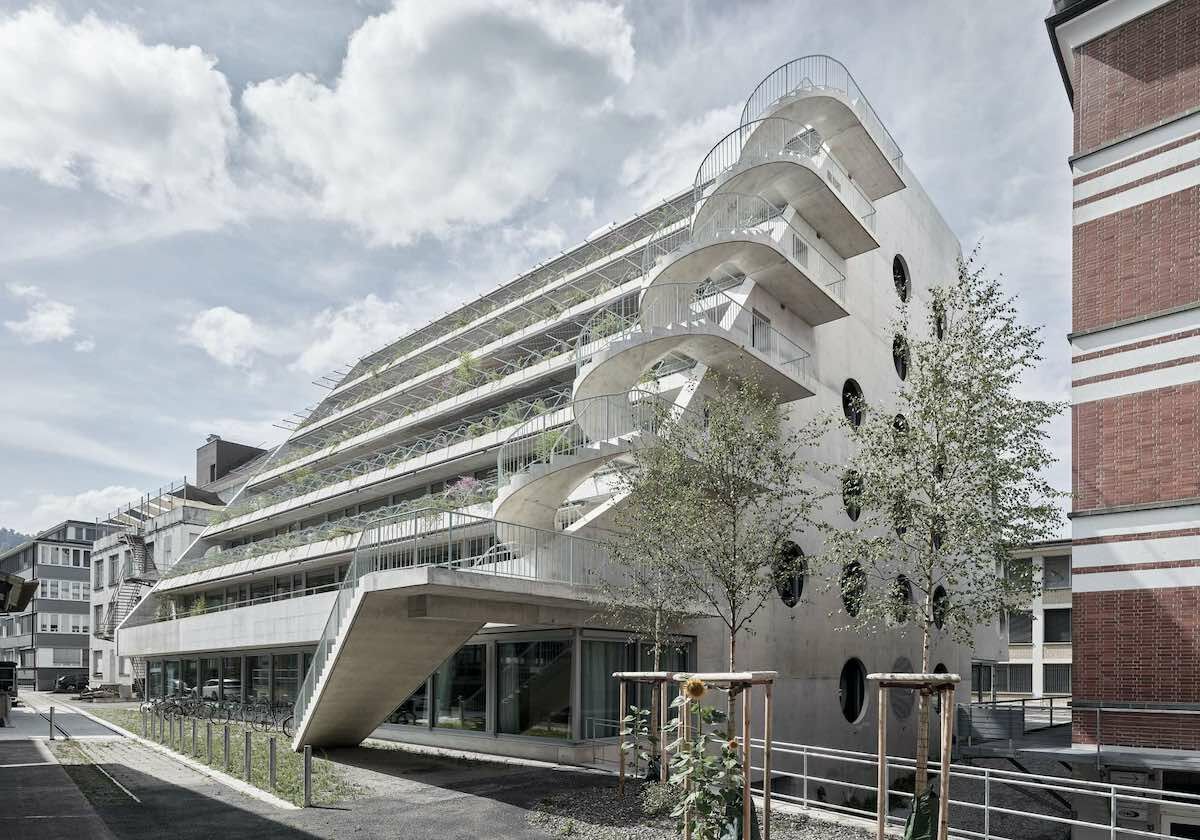 Terrassenhaus von EM2N in Zürich / Sichtbeton und Wucherpflanzen ...